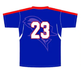 Short Sleeve Soccer Jersey